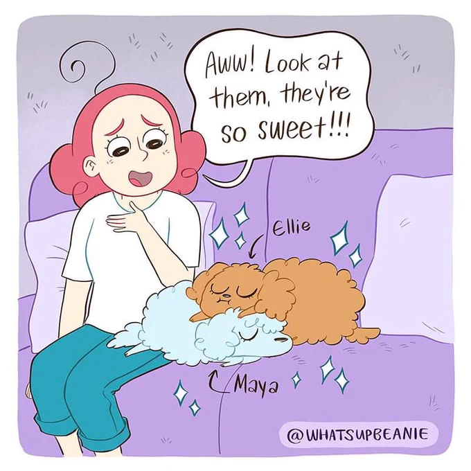 (1/2) Puppy attention 