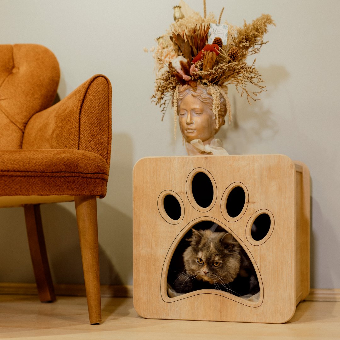 Whoever said there’s beauty in simplicity could have been speaking about Petguin modern pet furniture 🤍🤍
#catstyle #purrs #catcave #petguindesign #catinsta #felinelove #bluebritish #petguinpets #kittensofinsta #topmeowdels #mainecoonstyle #kittys #catfurniture