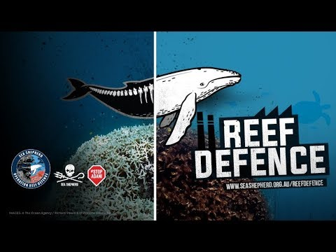 Eire353's tweet photo. Please sign and share this petition:
CEO Larry Fink is a hypocrite. He likes to talk about action on climate change, when in fact @BlackRock is one of the biggest investors in Adani’s destructive coal project. Fink – you can #StopAdani #BLKsBigProblem
#SeaShepherd #ReefDefence https://t.co/fHUgFoM4YD