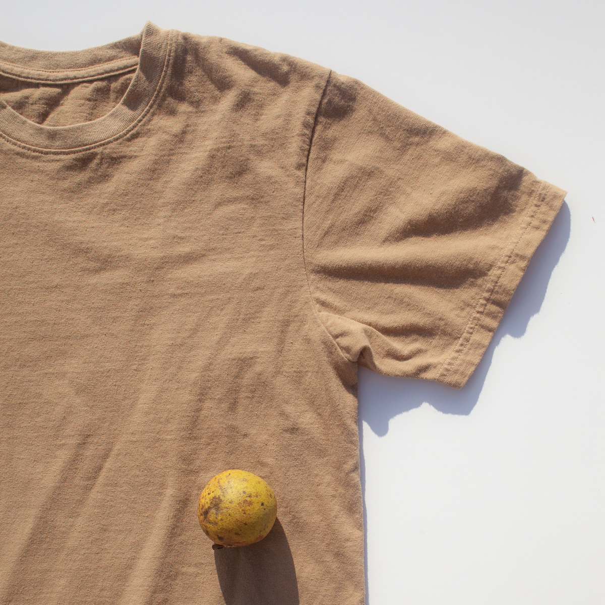_Croatan's tweet photo. We’re excited to announce that @_Croatan is collaborating with @tsdesigns and Solid State Clothing to launch a naturally-dyed North Carolina Black Walnut Cotton T-Shirt! Sourced from the 10,000 Pounds of Cotton Project, learn more here: https://t.co/busCMMsGfO https://t.co/F7x7EJ1I6L