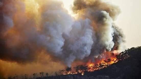 KakarHasam's tweet photo. No National &amp; international Media coverage 
No humanitarian eyes
No Worries 
No prayers 
&amp;
No Help from anywhere since last
two week

Because it's neither Australia nor Brazil but Balochistan.

#Forestfire #Sherani #savepinusforest #forest https://t.co/xKlXgvNzXa