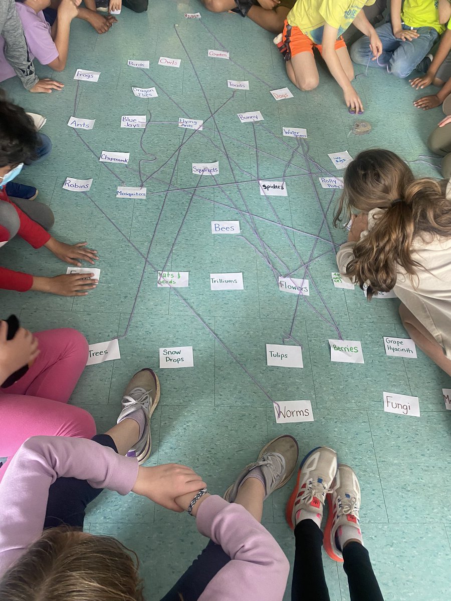 MmeClarkeL's tweet photo. Ss wonder if we could survive without bees 🐝 Sorting, creating &amp;understanding  a food web #GlobalCompentencies when we removed the bee Ss realized how the web collapsed. Next step problem solving ways we can help. #WorldBeeDay2022 @WestOak @CreativeSTAR 🐝 https://t.co/b7F6Heyv0R