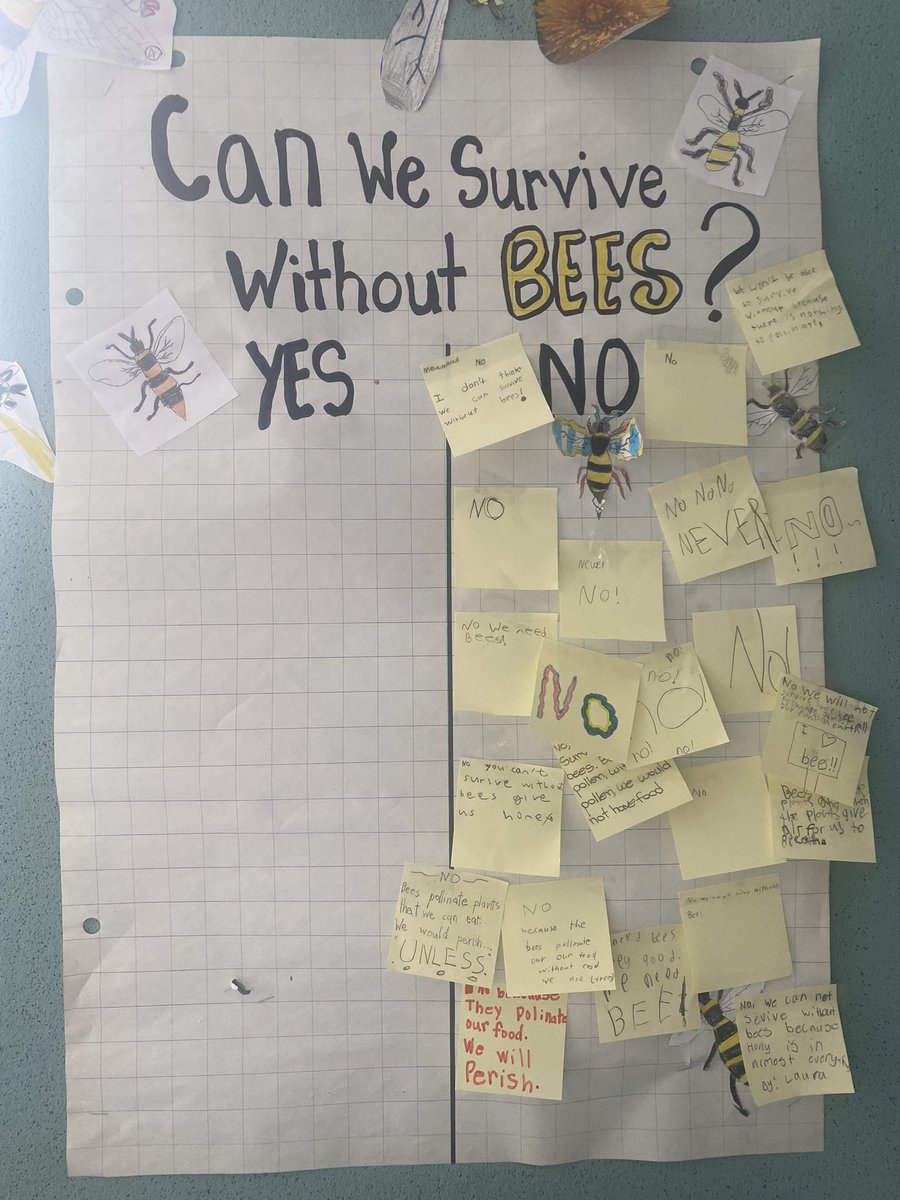 MmeClarkeL's tweet photo. Ss wonder if we could survive without bees 🐝 Sorting, creating &amp;understanding  a food web #GlobalCompentencies when we removed the bee Ss realized how the web collapsed. Next step problem solving ways we can help. #WorldBeeDay2022 @WestOak @CreativeSTAR 🐝 https://t.co/b7F6Heyv0R