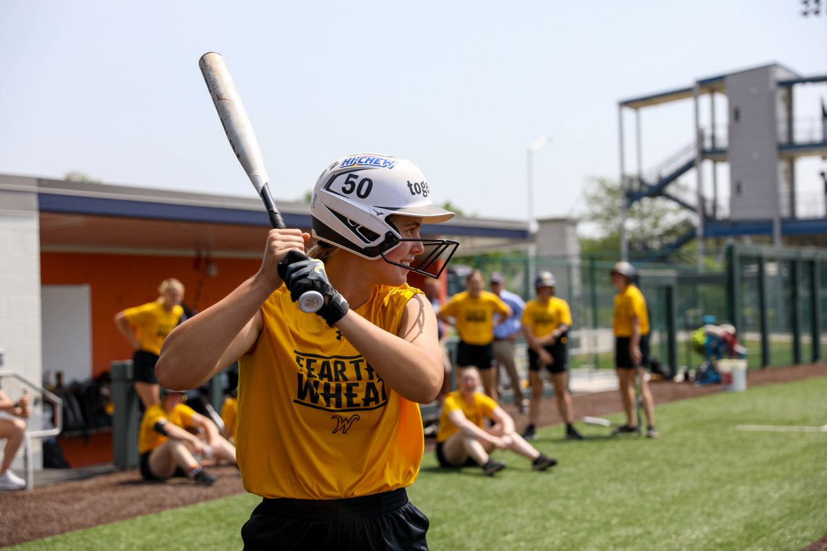 sometimes you just have to let the pitchers take a few hacks.