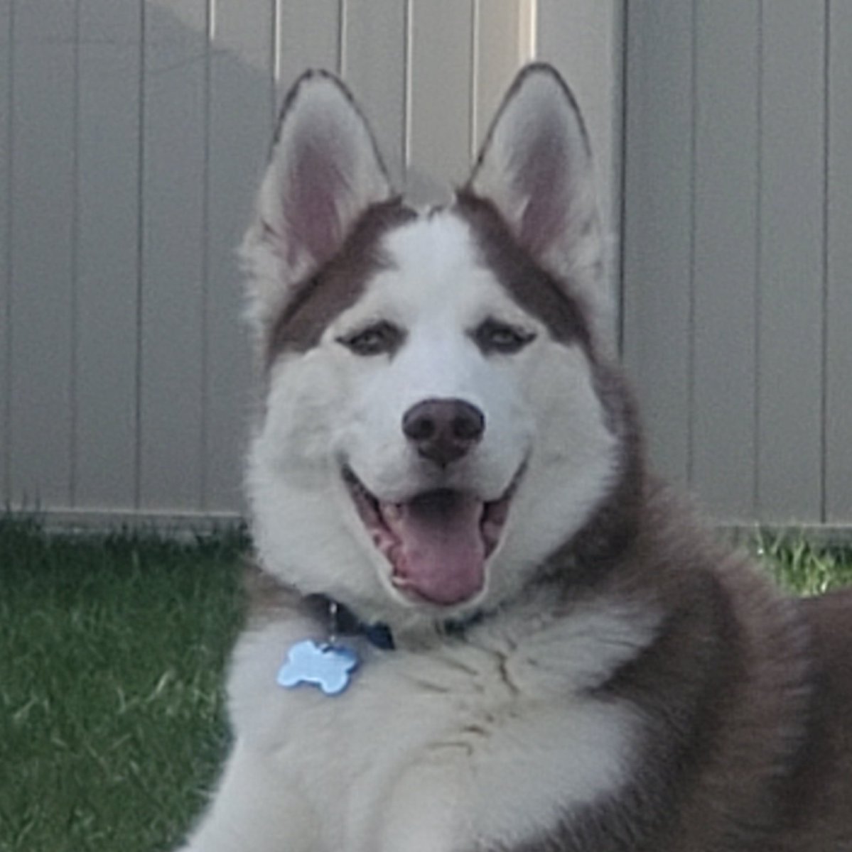 Joey_C_AMS's tweet photo. @Mr_Beltran_AMS #AMSFreeFriday #BAMSCE The thing I'll probably be doing this weekend is bonding with my dog. https://t.co/w65qOkeYGY