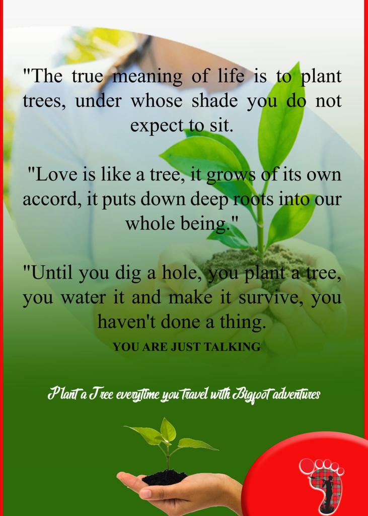 Plant a tree everytime you travel with bigfootadventureskenya .
He who  plants a tree,plants a hope. 

#seedlings #saveearth #MagicalKenyaSignatureExperiences #magicalkenya #bigfootadventureskenya #nairobi#globalpeacekenya