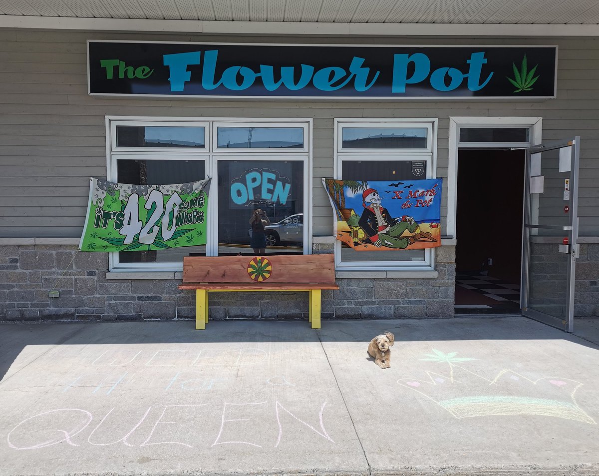 TheFlowerPotON's tweet photo. Weed fit for a queen! And for your long weekend! https://t.co/cUA85ViPUj