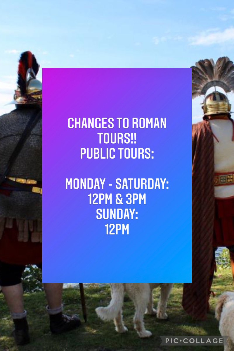 Roman Tours tweet media