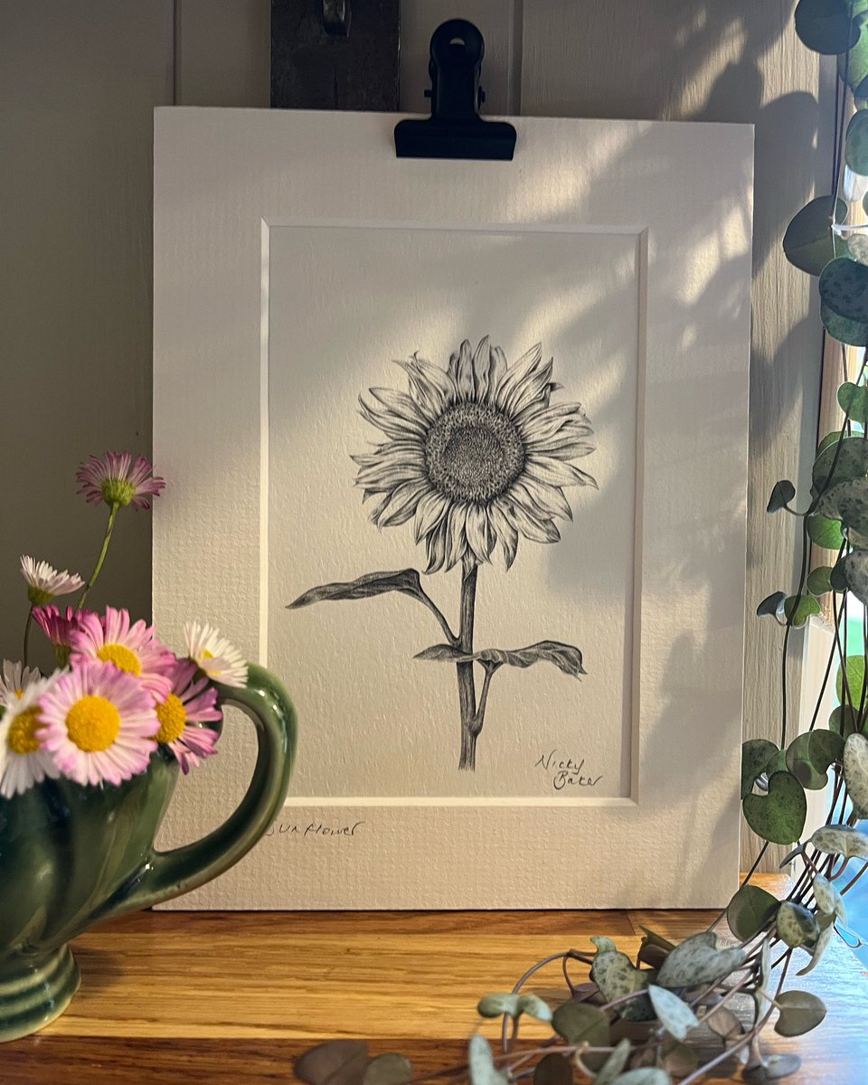 ✨SALE✨

It’s the weekend 🥳 and to celebrate there’s 15% off pretty much everything in my @etsyuk shop ~ including my new sunflower print 🌻 ~ link in bio ☝🏼

#thewightpencil #sunflowerart #sunflower #etsysale #etsyartprints