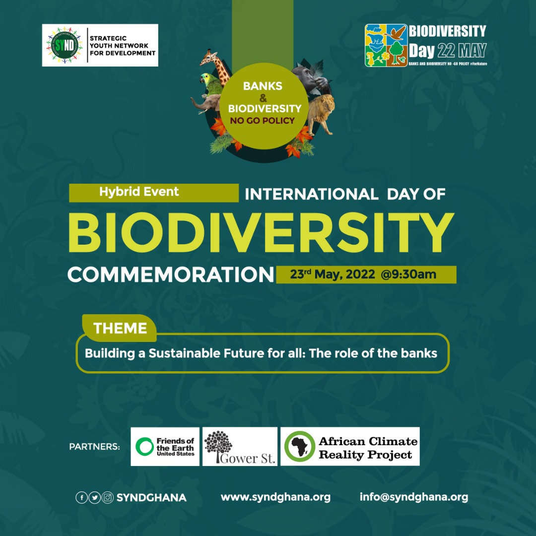 .@SYNDGhana in Partnership with  @foe_us and @Gower_St invites you to a hybrid event to Commemorate the INTERNATIONAL DAY OF BIODIVERSITY which we are organizing with some banks as part of the Banks and Biodiversity No-Go Policy Campaign. 
#NoGoPolicy
#IntlBiodiversityDay