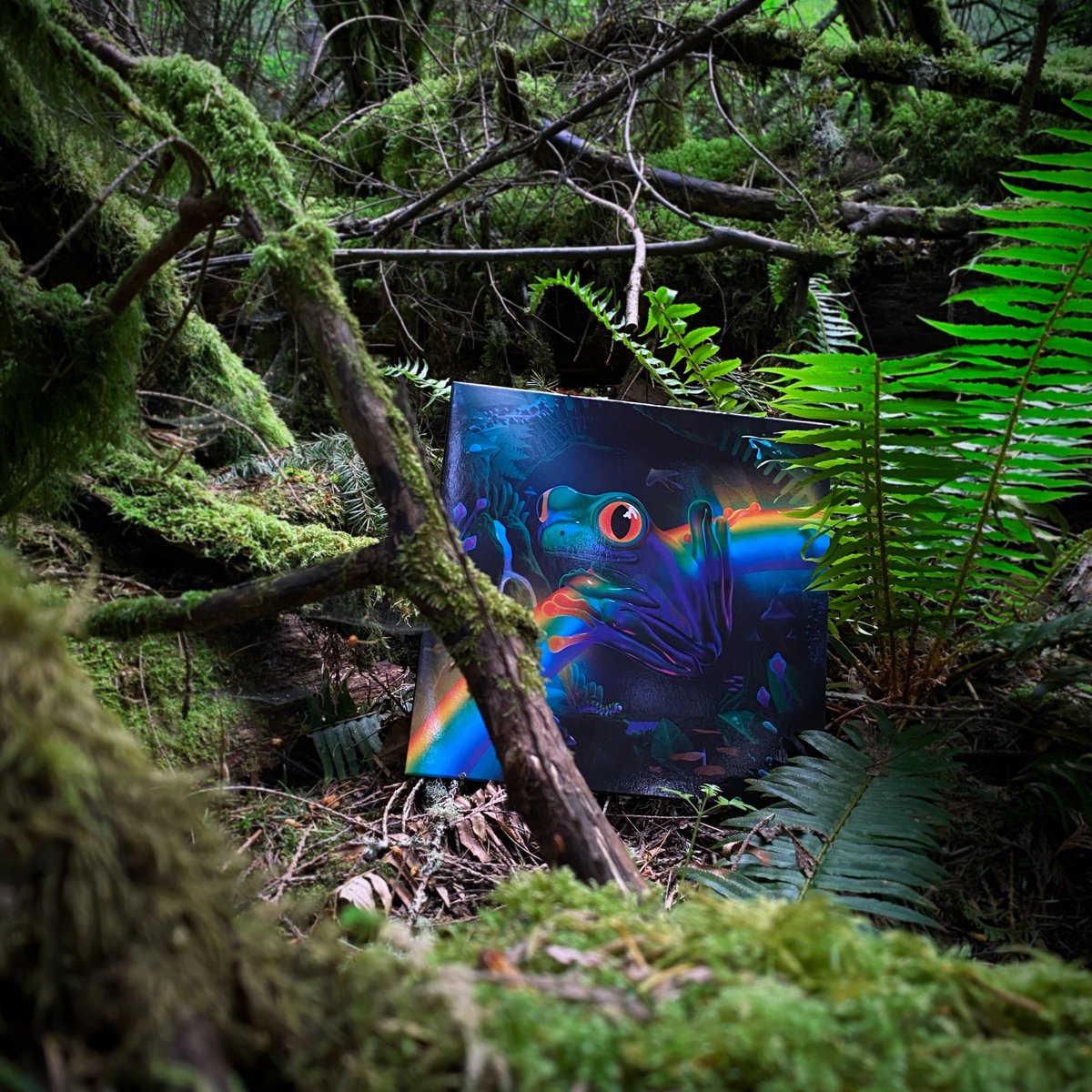 shellfritsch's tweet image. my new record just came out