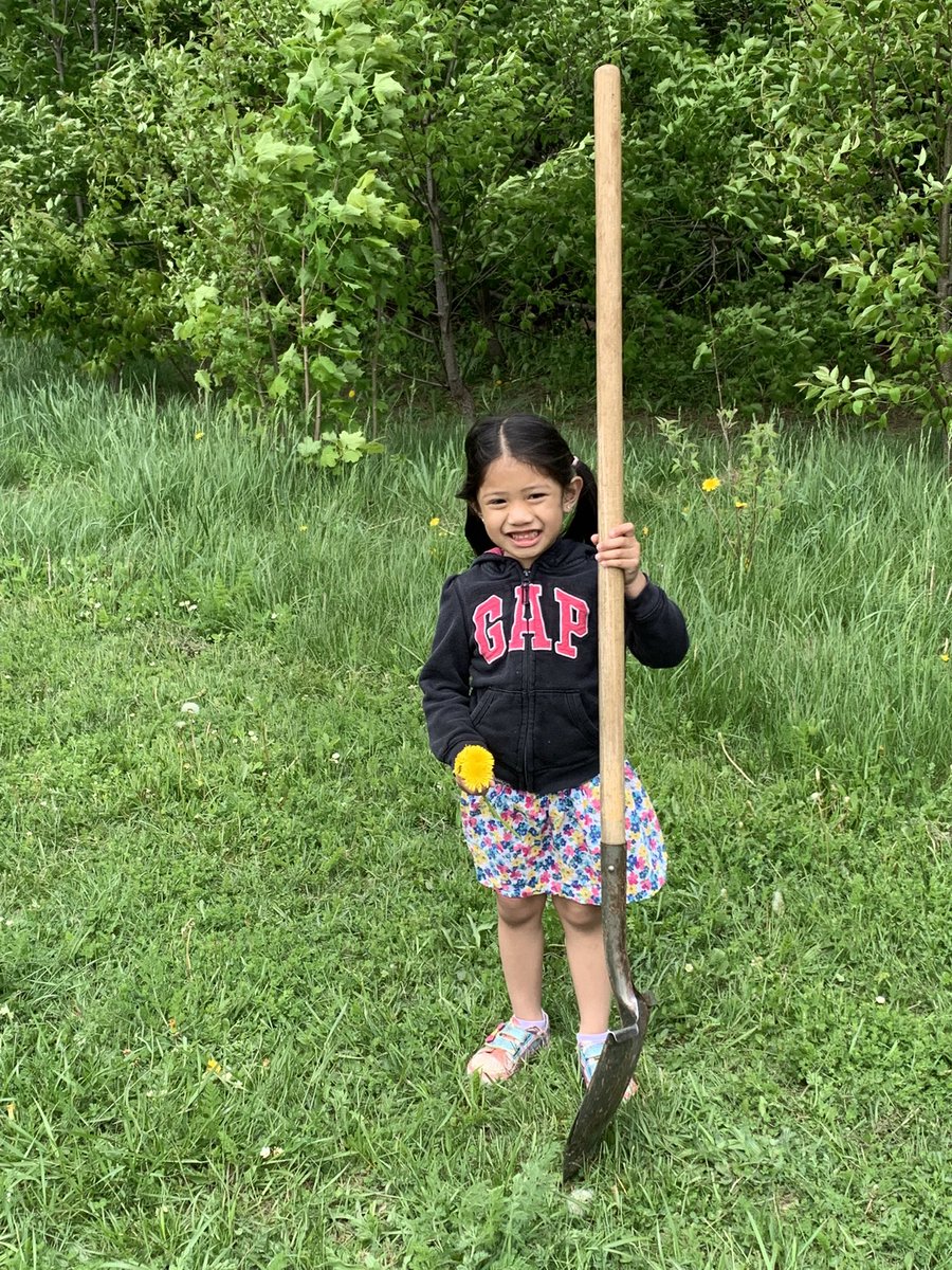 MrsNGauthier's tweet photo. Tree planting. #hardatwork @StPatrickGuelph https://t.co/JSDbOIcn0B
