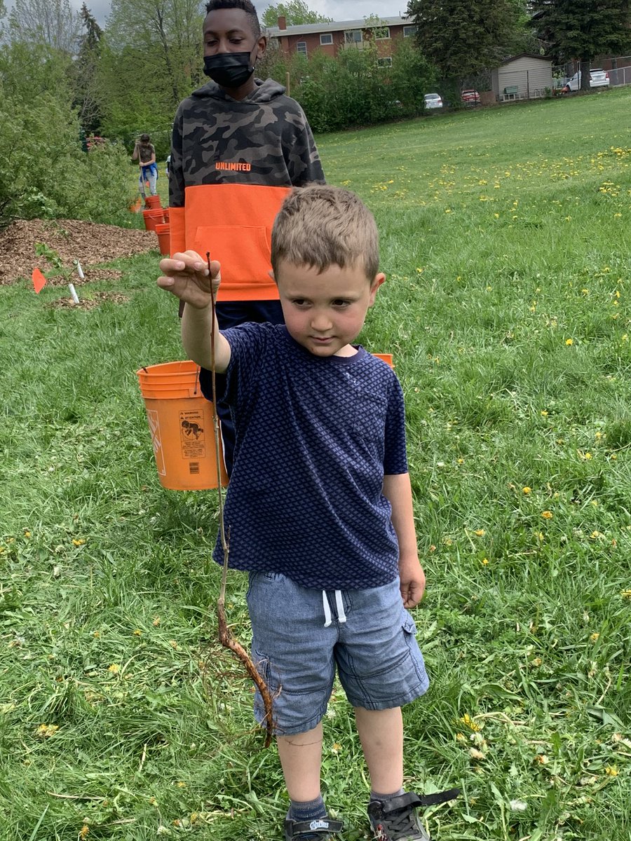 MrsNGauthier's tweet photo. Tree planting. #hardatwork @StPatrickGuelph https://t.co/JSDbOIcn0B