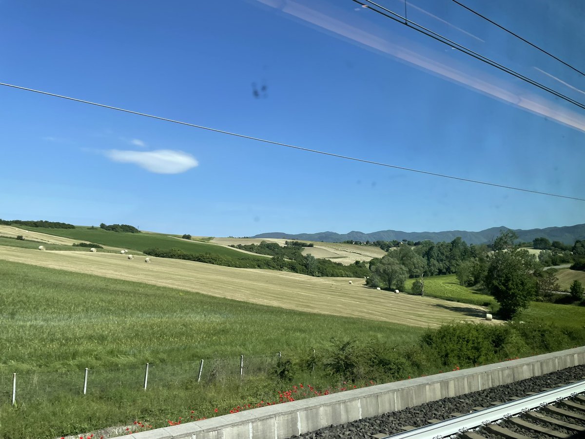MunchPudding's tweet photo. Distracted by flight cancellations, Mum forgot to send her #PostcardFromFlorence yesterday evening! My pawrents travelled from Bologna to Florence on the bullet train 🚄 🇮🇹😺 Ooh look at those nice Italian hedges! https://t.co/oP7g9go8Ud