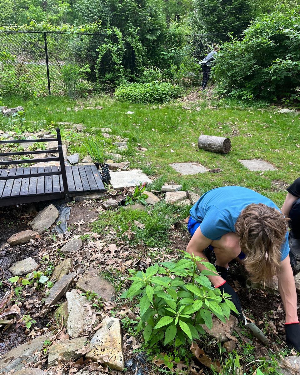 unitycharter's tweet image. .@unitycharter Our middle schoolers were working on the native planting in removal of native plants in the bog! #getoutside #unitywolves @EcoSchoolsUSA @theecoheroes @SJ_Program @NJSBCouncil