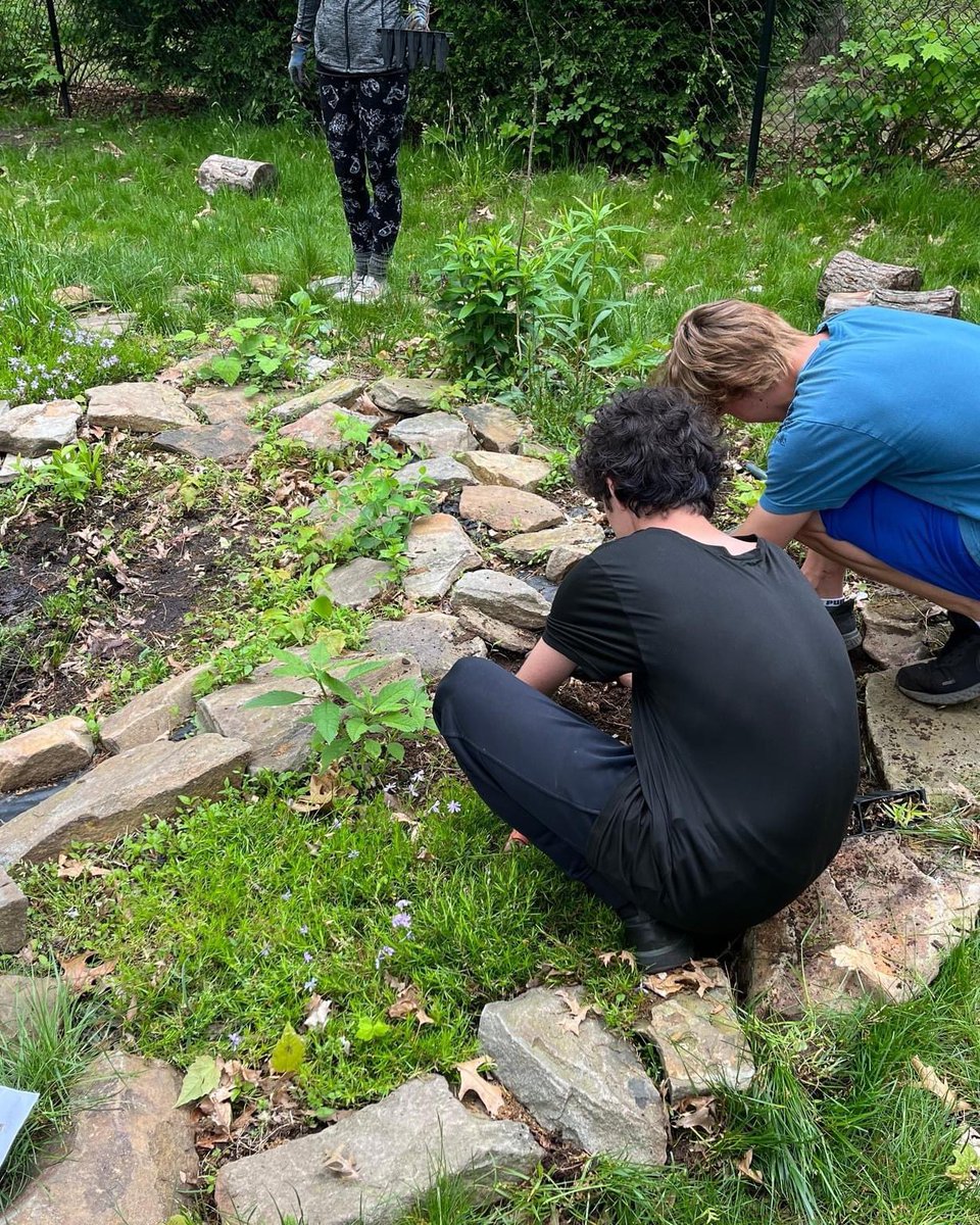unitycharter's tweet image. .@unitycharter Our middle schoolers were working on the native planting in removal of native plants in the bog! #getoutside #unitywolves @EcoSchoolsUSA @theecoheroes @SJ_Program @NJSBCouncil