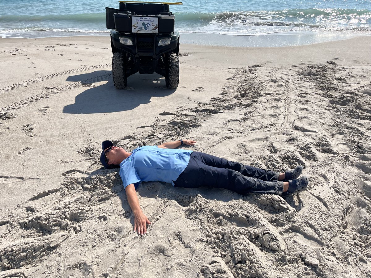 DisneyConserves's tweet photo. We have BIG news! #DisneyTeamWildlife documented our 12th leatherback sea turtle nest this week! 🐢 Check out the size of those tracks! This nest marks a record-breaking year for leatherbacks nesting near #DisneysVeroBeachResort. [Conservation work conducted under MTP-260] https://t.co/IhB0pE4ycl