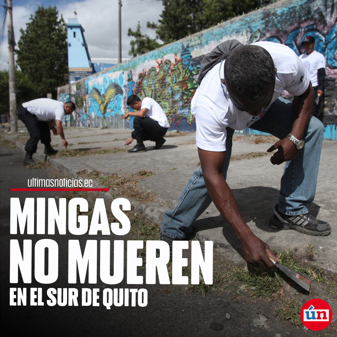 La ‘guapeada’ de espacios públicos en #Quito se da con las mingas ciudadanas y apoyo de maquinaria municipal » bit.ly/3PwkZbD