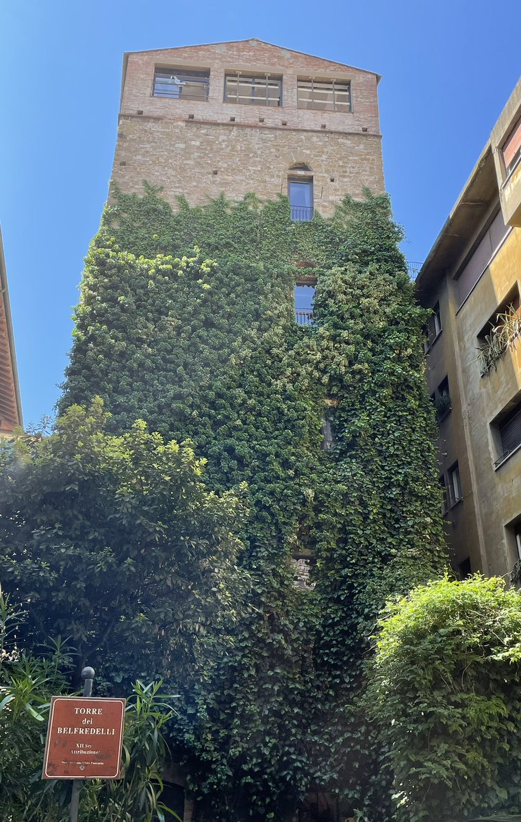 MunchPudding's tweet photo. #PostcardFromFlorence 🇮🇹☀️😺 https://t.co/6yFSVjCYbW