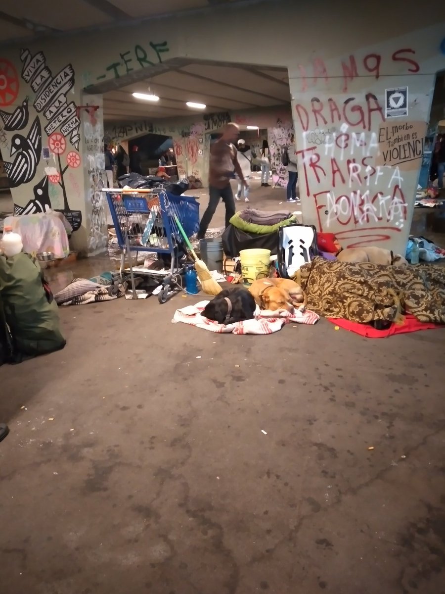 Guiller55797095's tweet photo. @AlcCuauhtemocMx @SandraCuevas_ Felicidades!!!👏
Normalizando el ambulantaje,ahora entiendo por qué la recién remodelada glorieta de Insurgentes, se convirtió en un muladar https://t.co/M15RYaH9zf