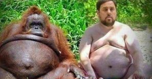 Cataluña reporta el primer caso de viruela del mono!!!🐒
Mescojono!!!🤣🤣🤣🤣🤣🤣🤣🤣🤣🤣🤣🤣🤣🤣🤣🤣🤣🤣🤣🤣🤣🤣🤣🤣🤣🤣