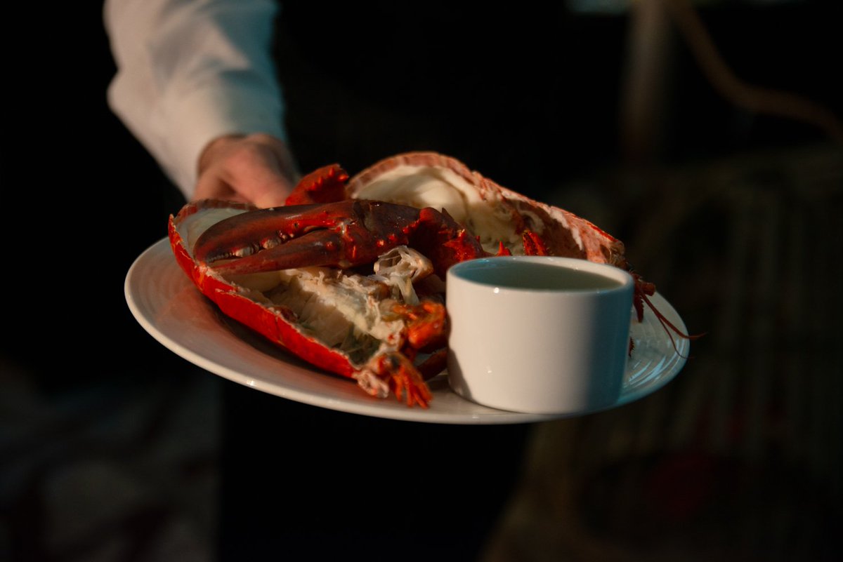 Krista Benoit | iSPARK tweet media