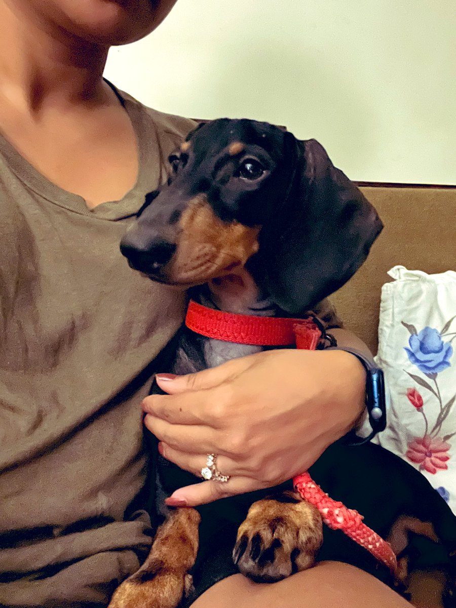 Sritika ♌ tweet media