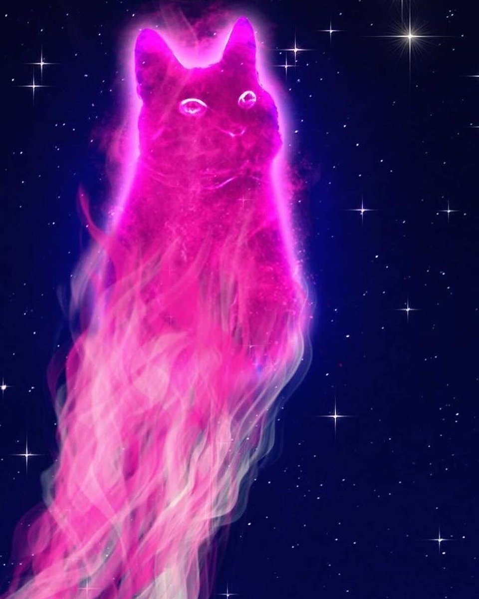 My_unique_petz's tweet photo. Trying to figure out how I can stream my edits or play games and also starting up my YouTube while also focusing on school and finishing my deadlines before the summer (plus healing my traumas). Yes it’s a busy schedule 😅😹
Edit for @caffelattekitty #cat #catlover https://t.co/UJTLauhk4v