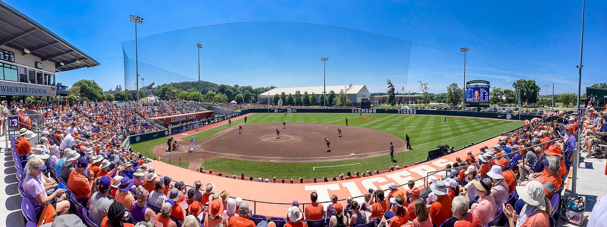 Clemson Baseball on Twitter "Congrats to clemsonsoftball on the