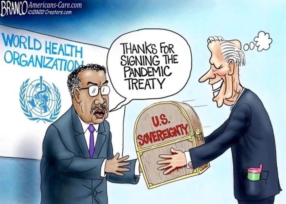 PaulBrounforGA's tweet photo. Only one GA-10 candidate has a proven record of defending American sovereignty. Only one candidate can be trusted to go toe to toe with Biden and the globalist elites. https://t.co/E2R7PkpMhh