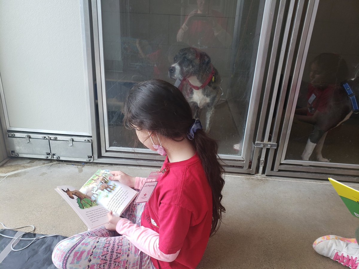 EricGordon_CEO's tweet photo. Today the @CLEMetroSchools @MarionCSeltzer Pup Star Readers made their final visit of the year to @CityDogsCLE to read to their dogs. Great way to develop reading skills &amp; confidence. They also brought 100 dog blankets they made to say "thanks for listening"! #CelebrateCMSD https://t.co/sUkzza19JC