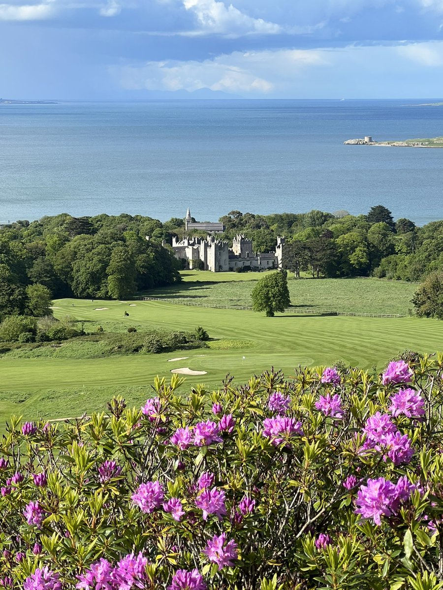Hidden_Howth's tweet photo. Beautiful views of Howth Castle from Muck Rock #howth #dublin #ireland #hiddenhowth #visithowth #visitdublin #dublincoastaltrail #discoverdublin @Failte_Ireland @howthismagic @top100attractio @GoToIreland @VisitDublin @LoveFingalDub https://t.co/QXsBS6rmP9