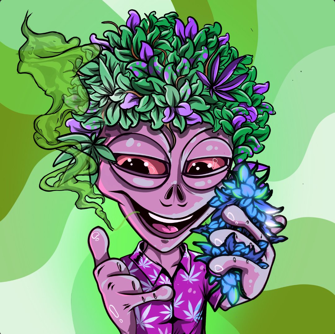 <a href="/orangie/">Orangie</a> GM from <a href="/Cannaverse_/">Cannaverse | SOLD OUT</a>