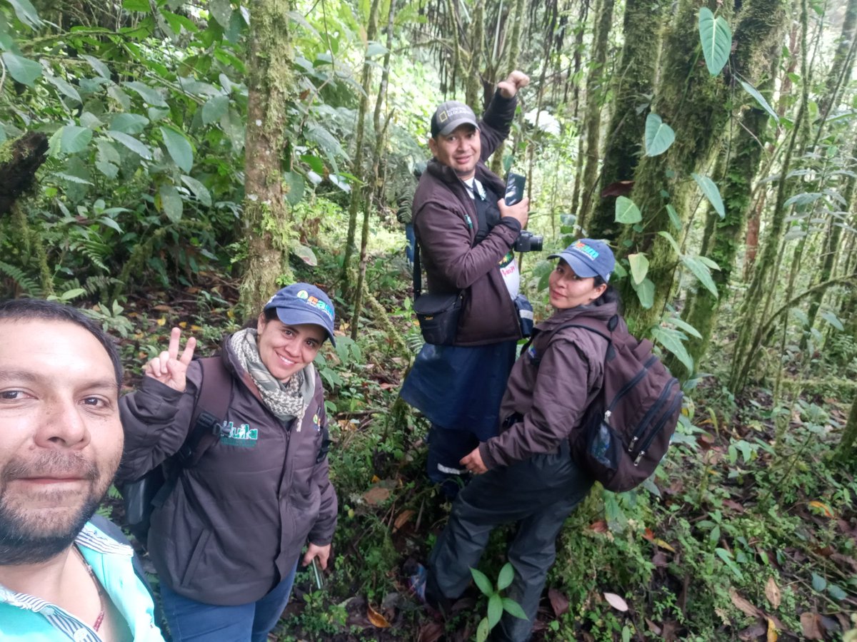 ReverdecerL's tweet photo. En busqueda de nuestro jardinero del bosque #RNSC #ElCedro https://t.co/MwHpNqbgL4