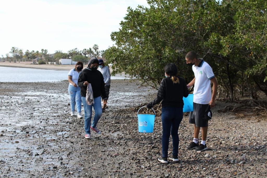 isjuventudbcs's tweet photo. Gracias a los jóvenes voluntarios, personal del SEPUIMM y de Las Playas Que Queremos A.C. por sumarse a la campaña de limpieza en El Comitán 🤩🥳

Con su apoyo logramos recolectar 63 kg de residuos ✅ https://t.co/QgUNZh5P1b