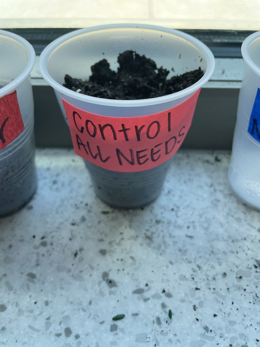 Mrs_Sautro's tweet photo. Today we sent up our plant experiments! Some seeds have no soil, some will receive no sunlight and some will receive no water. Will any seeds be successful? https://t.co/aQOpsGBVUF