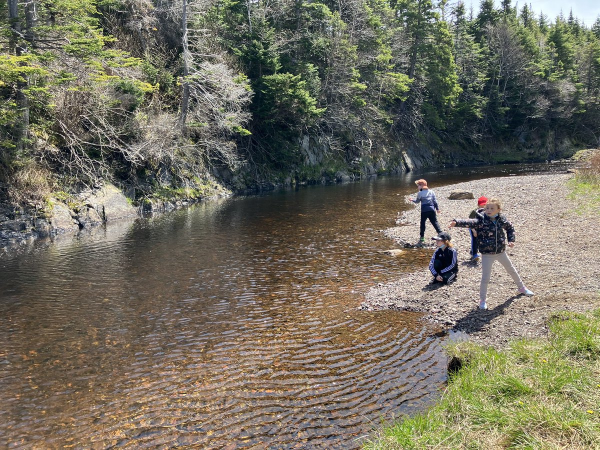 HFelementaryCA's tweet photo. Marshmallow roast, skipping rocks, outdoor play, and tent reading in the learning commons! Thanks to the @NCLC_FireDept for your support today and continued support throughout the school year! Have a great long weekend everyone. @NLESDCA https://t.co/jjSl8G9VHM