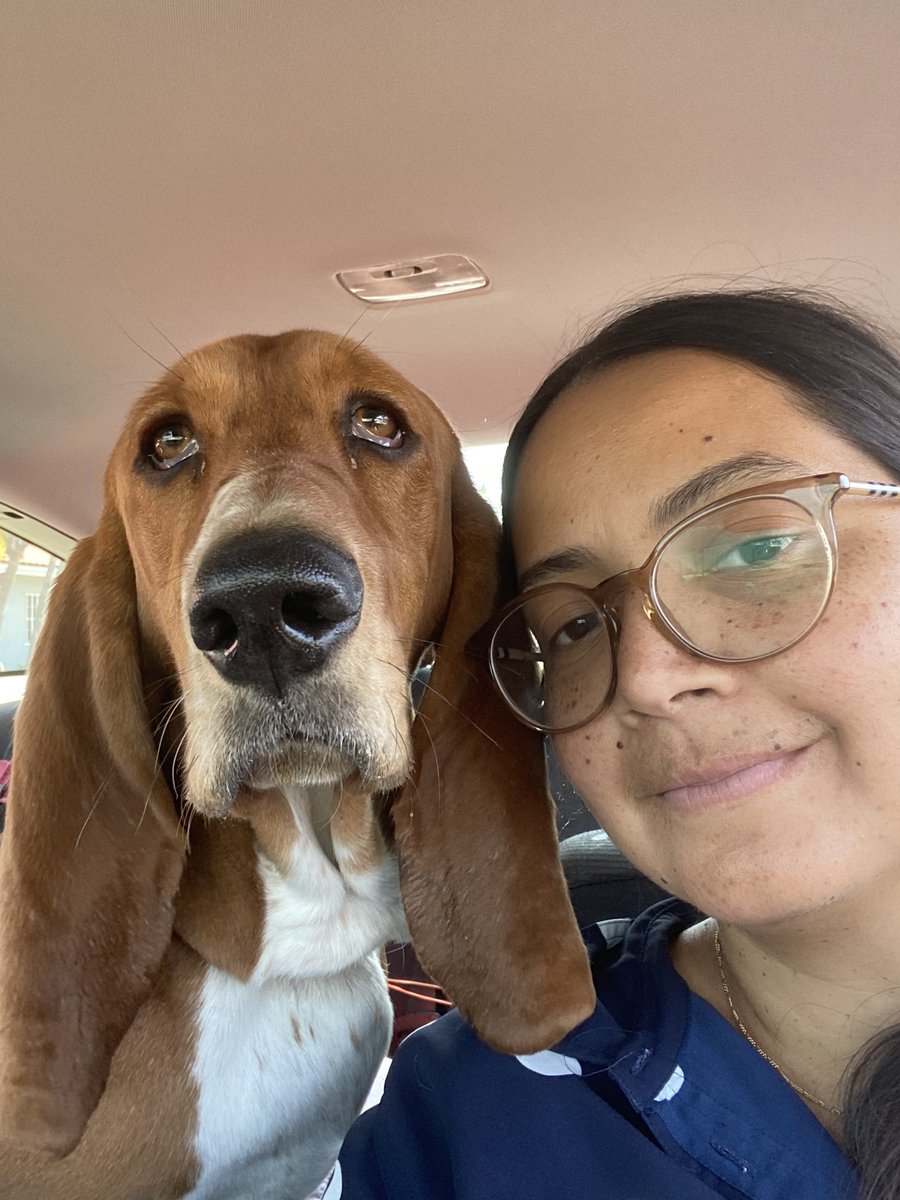 AValdes305's tweet photo. @svershbow Nothing but love #AdoptDontShop https://t.co/3jz9QF8iwW