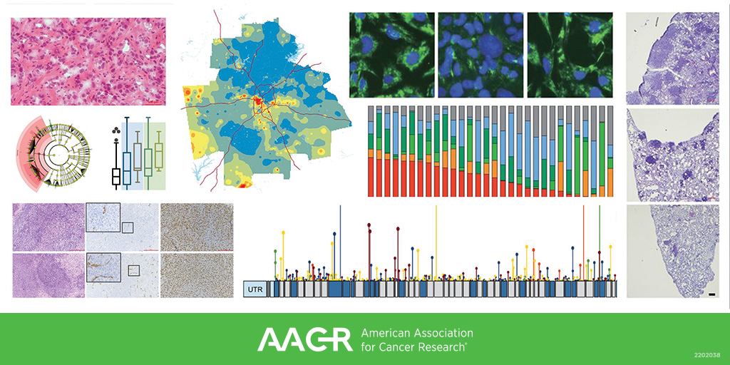"The Best of the AACR Journals” is a collection of our most cited research articles published in 2020 and 2021 across the AACR journals, check it out!
bit.ly/3G2U4Qk