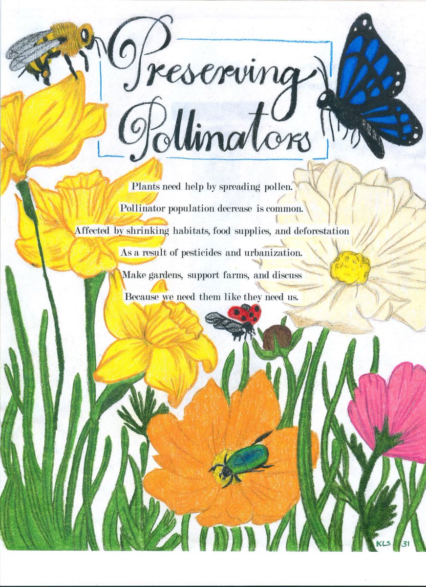 AmerChemSociety's tweet photo. Congratulations to the 1st &amp; 2nd Place winners of the 2022 #CCEW Illustrated Poem Contest for Grades 9-12. See all this years winners at https://t.co/bZtKPS3ukO

#Chemistry #Insects #BuzzAboutBugs #Poem https://t.co/xzYHSSjYX6