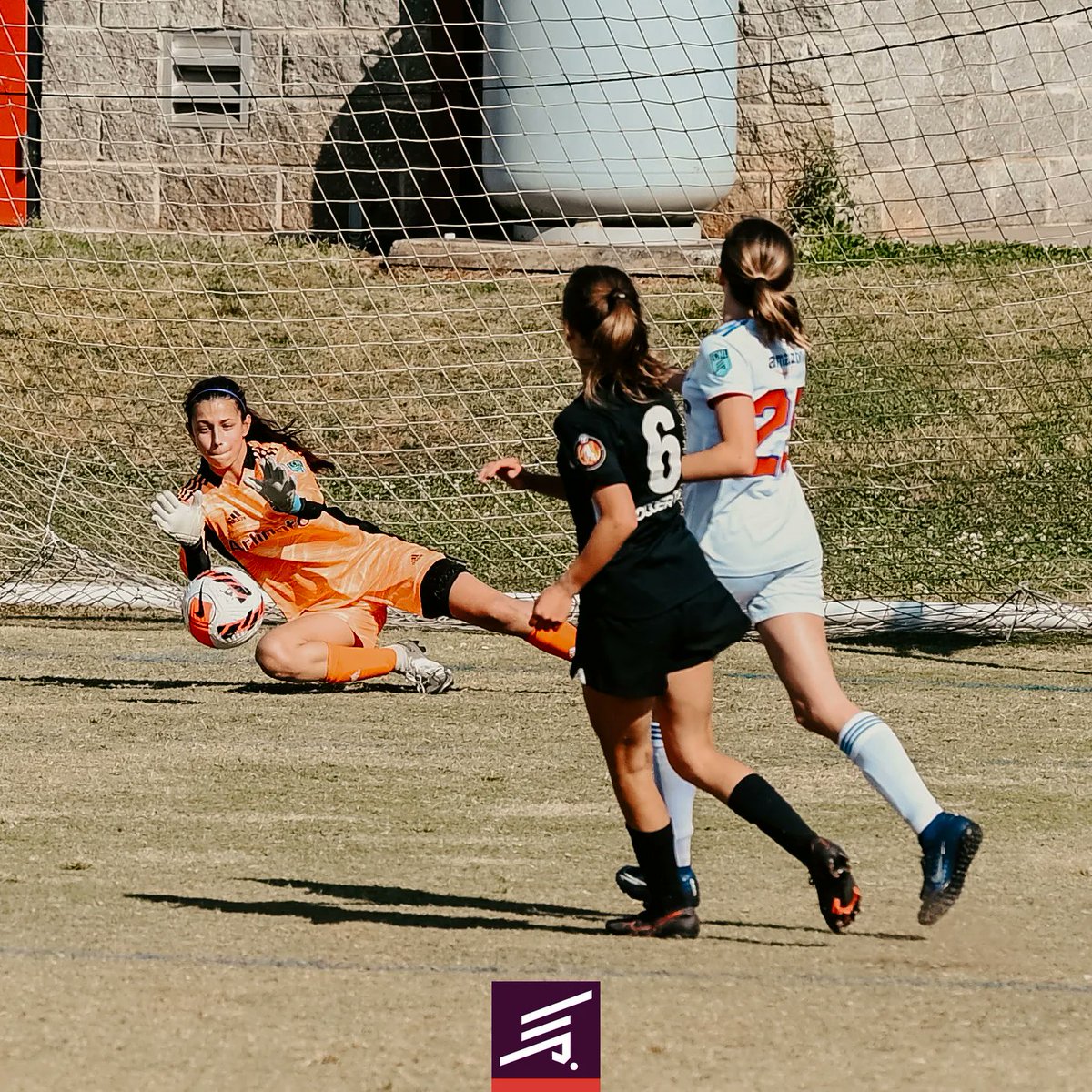 ECNLgirls's tweet photo. #ECNLinAction

📸 submitted by: Joseph Hall https://t.co/rS6P027WxP