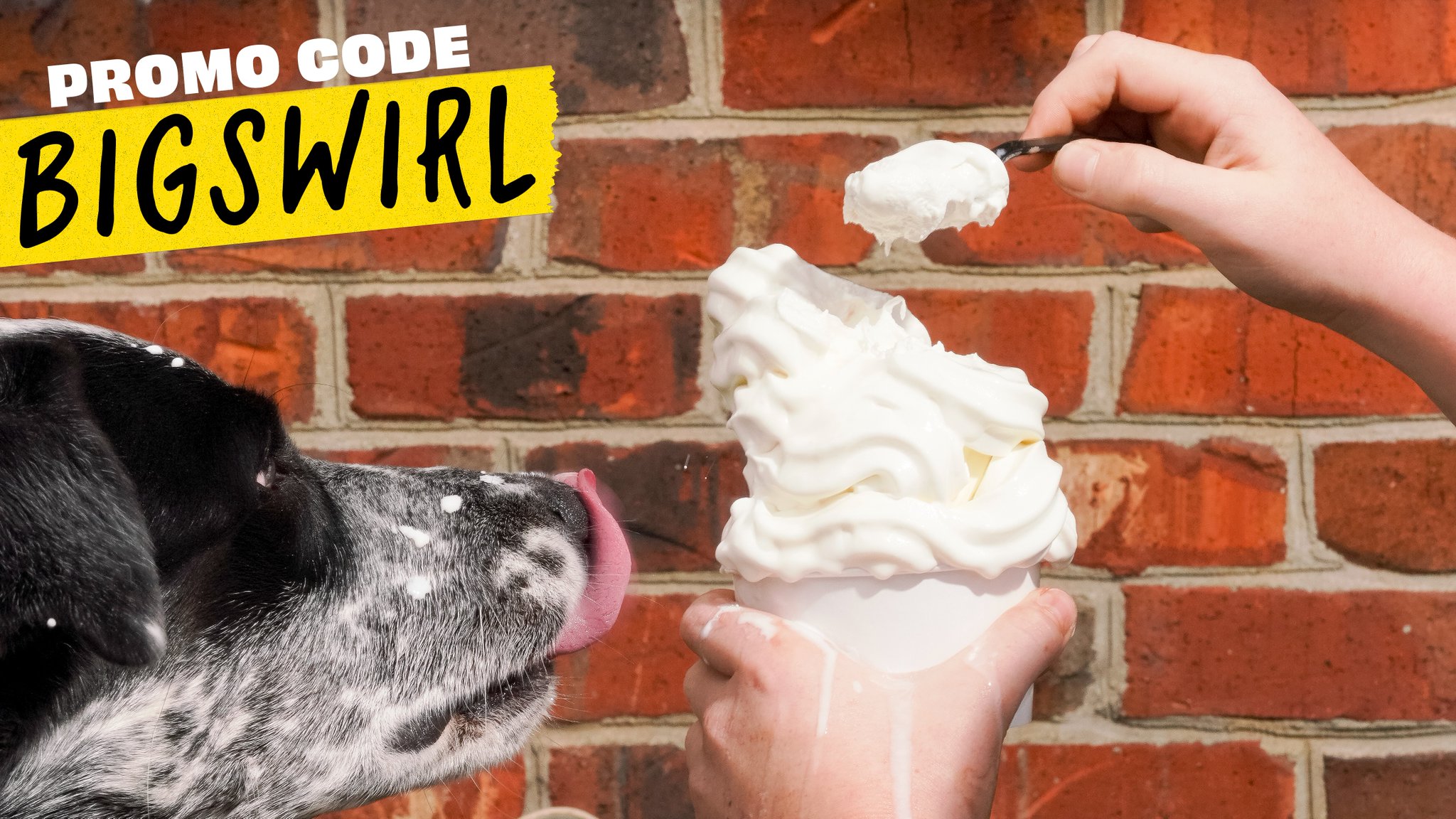 SHEETZ on Twitter "Use promo code BIGSWIRL to redeem on the app! Offer