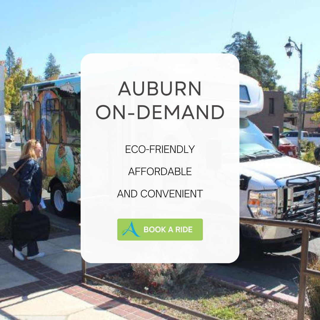 Looking for a convenient and eco-friendly way to get around town? ♻️ Auburn On-Demand can take you from your doorstep to exactly where you need to be for just $3.50! Download the app and request your pick-up today! apps.apple.com/us/app/translo…