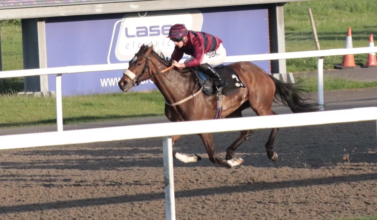 ens1racing's tweet photo. Delighted with the performance of Flower of Thunder @ChelmsfordCRC last night under a masterful ride by @RKingscote Probably only let down by the performance of her co-owner’s subsequent interview with @jess_stafford_ of @RacingTV https://t.co/QMp7hucUYS
