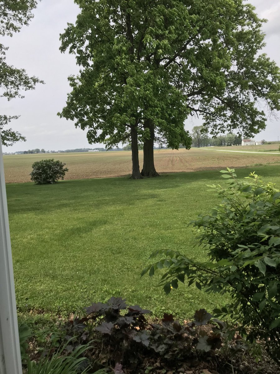 Made it to cocktail hour. Front porch view. Btw it’s JD on the rocks