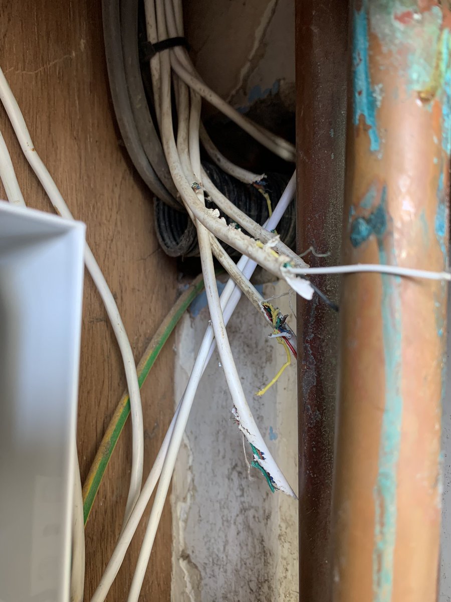 empresssec's tweet photo. I installed a door entry system in some flats recently, to existing wiring. They didn’t work and no power to handsets. Obviously a cable break, and for so many to be faulty, I suspected rats. I suggested this to a resident, and they said they’d had a problem. Today I investigated https://t.co/kpPO2Ns0aB