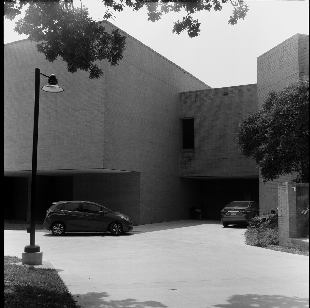 DinoBabyInfant's tweet photo. I wonder how good Twitter is for film photography. It can’t be any worse than Instagram right https://t.co/t2M82uEL0y