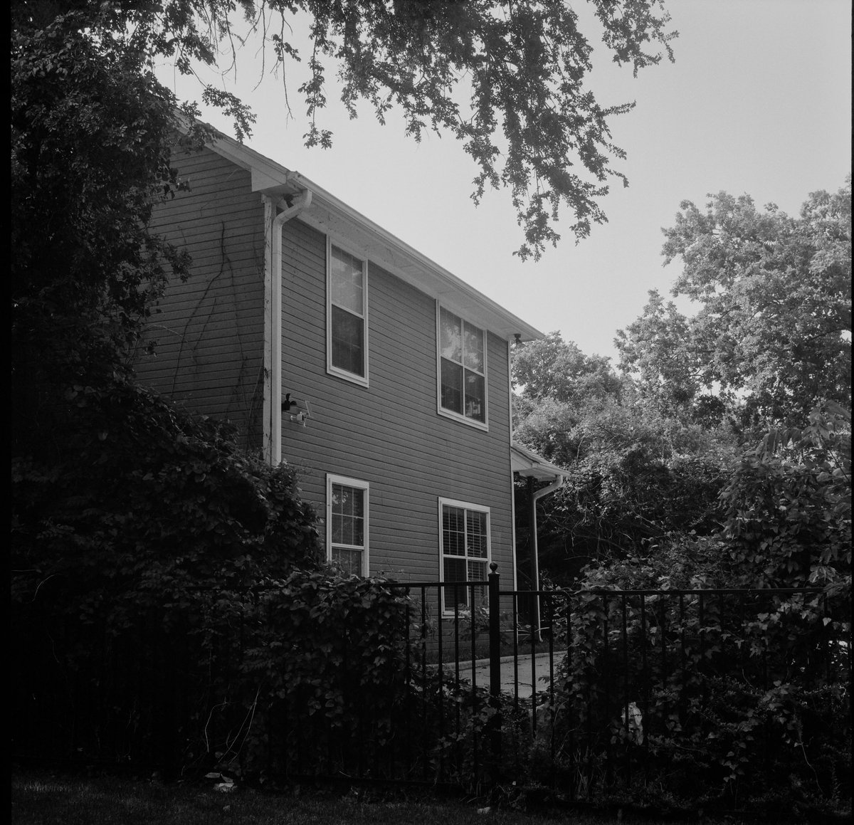 DinoBabyInfant's tweet photo. I wonder how good Twitter is for film photography. It can’t be any worse than Instagram right https://t.co/t2M82uEL0y