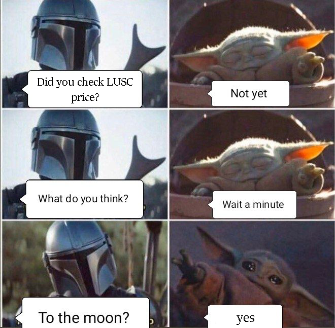 Luscus Cat tweet media