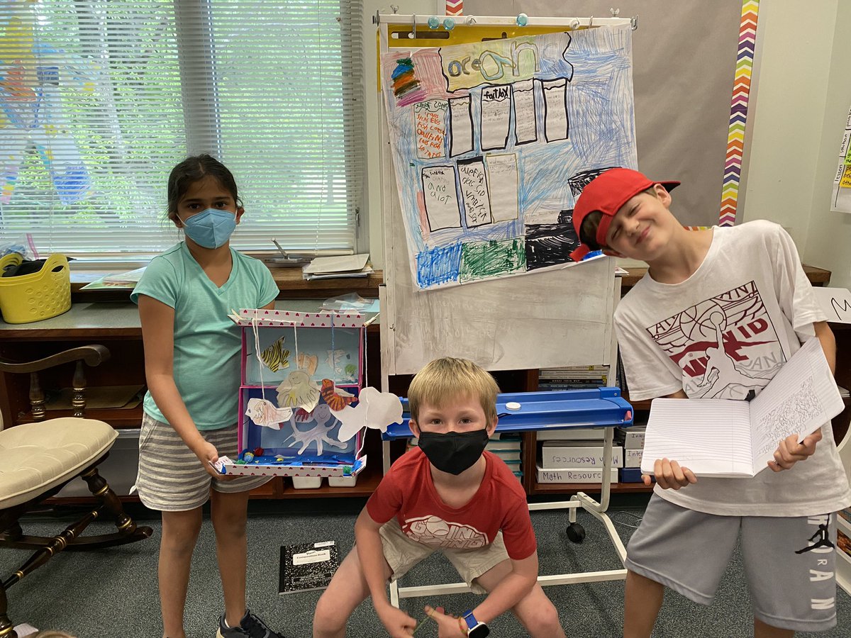 Miss Aronson's Sunflowers 💛 tweet media